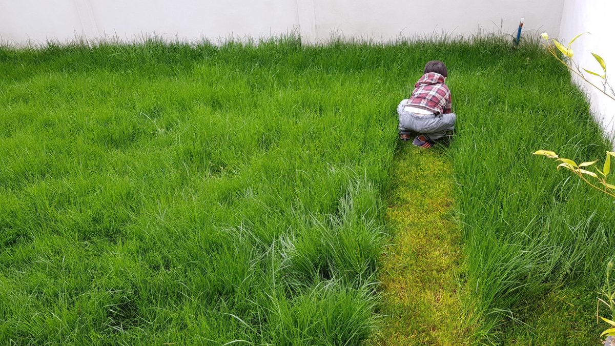 Héctor Robles liderazgo innovador innovación