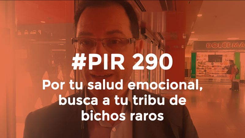 Por tu salud emocional, busca a tu tribu de bichos raros
